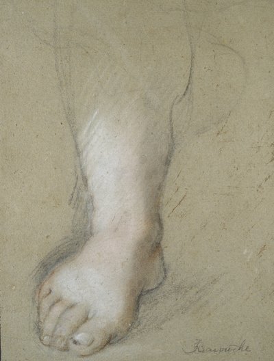 Study of a Foot by Federico Barocci